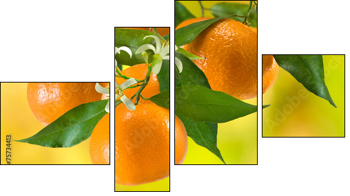 ripe tangerine on a yellow background - Four-piece canvas print, Fortyk