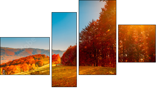 Colorful autumn landscape - Four-piece canvas print, Fortyk