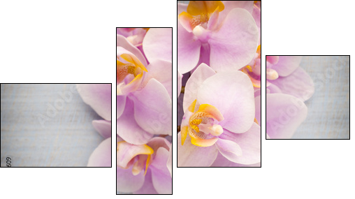 Orchid. - Four-piece canvas print, Fortyk
