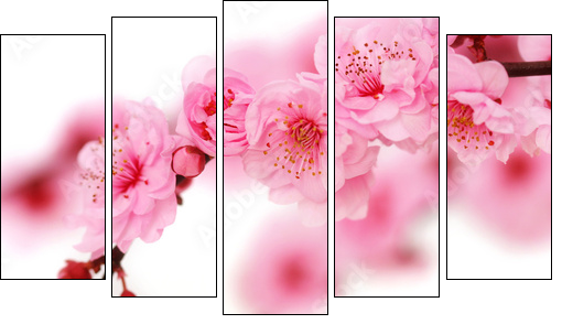 Spring cherry flowers reflected in rendered water - Five-piece canvas print, Pentaptych