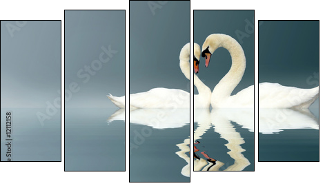 Love Swans - Five-piece canvas print, Pentaptych