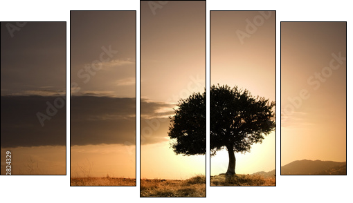 solitary oak tree in golden sunset - Five-piece canvas print, Pentaptych
