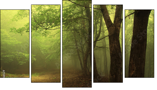 Green forest with fog - Five-piece canvas print, Pentaptych