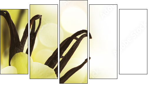 Beautiful Vanilla beans and flower over blurred background - Five-piece canvas print, Pentaptych