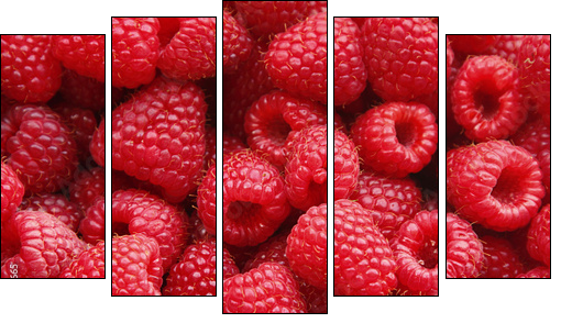 Sweet raspberry - Five-piece canvas print, Pentaptych