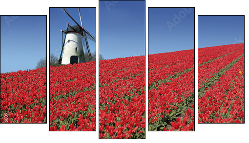 dutch mill and red tulips - Five-piece canvas print, Pentaptych