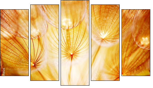 Soft dandelion flower - Five-piece canvas print, Pentaptych