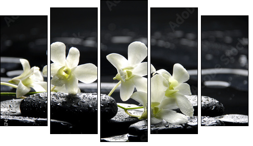 Zen stones and white orchids with reflection - Five-piece canvas print, Pentaptych