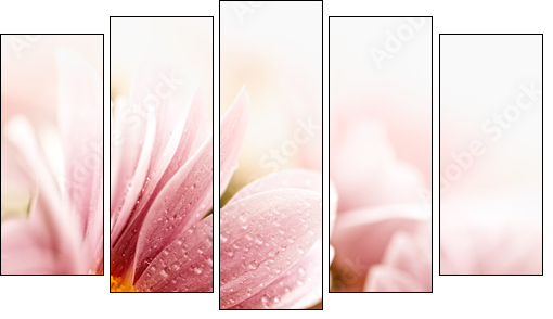 Beautiful daisy flowers closeup - Five-piece canvas print, Pentaptych