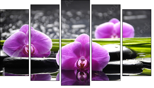 Spa still life with set of pink orchid and stones reflection - Five-piece canvas print, Pentaptych