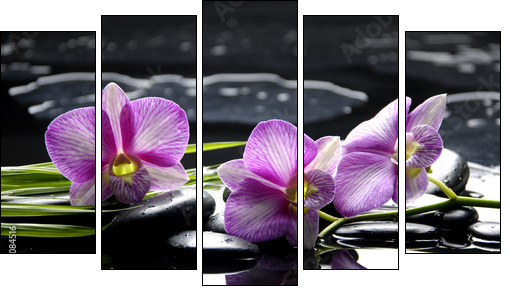 Pink orchid with bamboo leaf and stones with reflection - Five-piece canvas print, Pentaptych