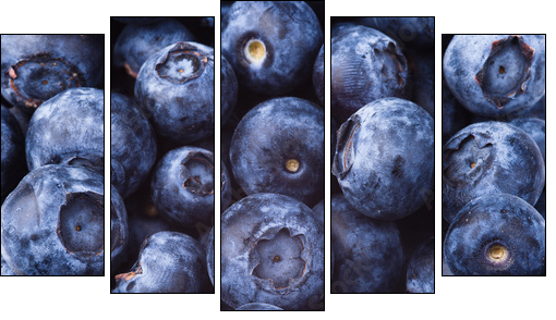many blueberries - Five-piece canvas print, Pentaptych