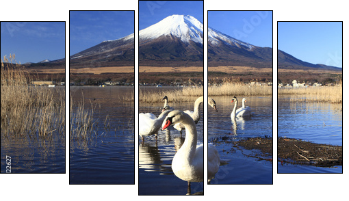 Mt. Fuji and Swans - Five-piece canvas print, Pentaptych