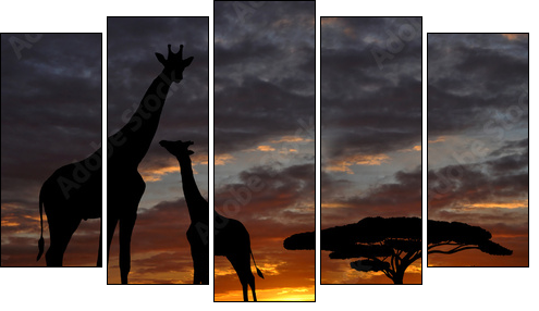 giraffes in the sunset - Five-piece canvas print, Pentaptych