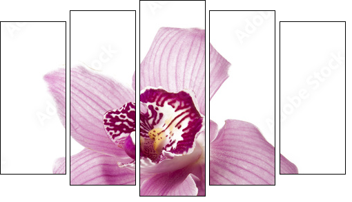Pink orchid on a white background - Five-piece canvas print, Pentaptych