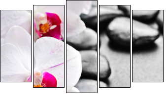orchid - Five-piece canvas print, Pentaptych
