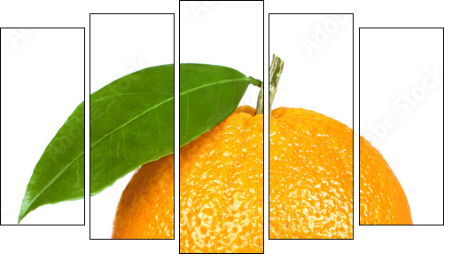 Ripe orange isolated on white background - Five-piece canvas print, Pentaptych