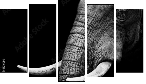 African Elephant Close Up - Five-piece canvas print, Pentaptych