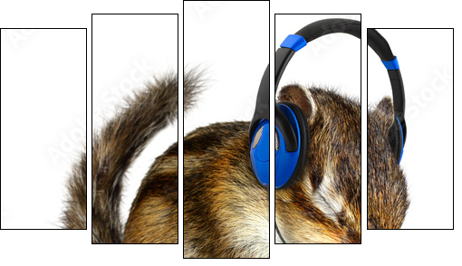 Funny chipmunk listening to music on headphones - Five-piece canvas print, Pentaptych