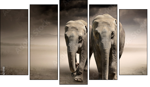 Pair of elephants in motion - Five-piece canvas print, Pentaptych