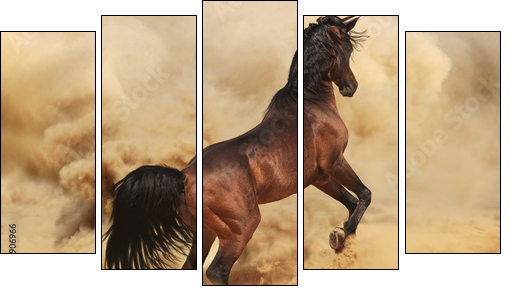 Purebred arabic stallion in desert - Five-piece canvas print, Pentaptych