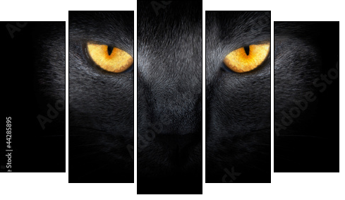 View from the darkness. muzzle a cat on a black background. - Five-piece canvas print, Pentaptych