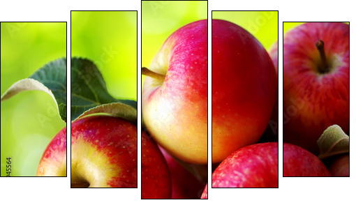 ripe red apples on table - Five-piece canvas print, Pentaptych