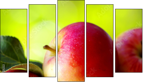 ripe red apples on table - Five-piece canvas print, Pentaptych