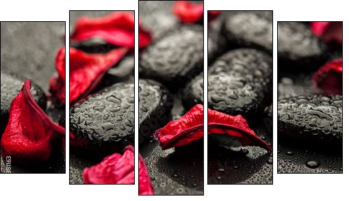 background spa. black stones and red petals with water droplets - Five-piece canvas print, Pentaptych