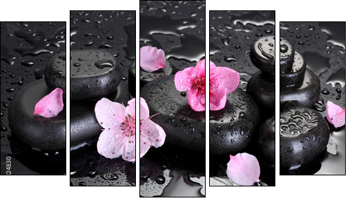 Spa stones with drops and pink sakura flowers - Five-piece canvas print, Pentaptych