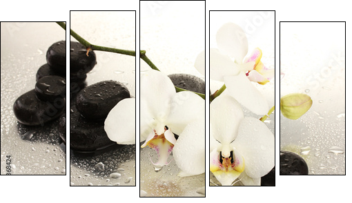 Spa stones and orchid flowers, isolated on white. - Five-piece canvas print, Pentaptych