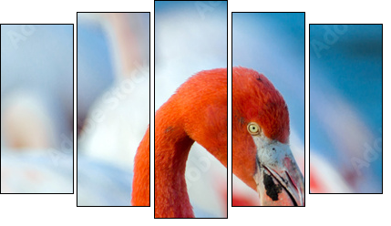 Pink flamingo on the lake - Five-piece canvas print, Pentaptych