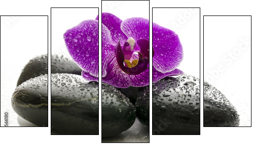 Violet orchid on black spa stones with water drops - Five-piece canvas print, Pentaptych
