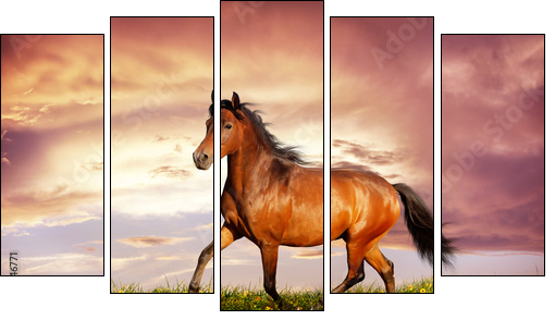 Beautiful brown horse running trot - Five-piece canvas print, Pentaptych