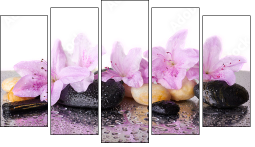 Pink flowers and black stones - Five-piece canvas print, Pentaptych