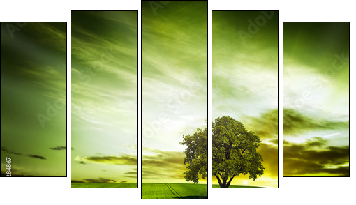 Green nature - Five-piece canvas print, Pentaptych