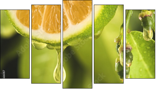 Drop of juice from a sliced lemon - Five-piece canvas print, Pentaptych