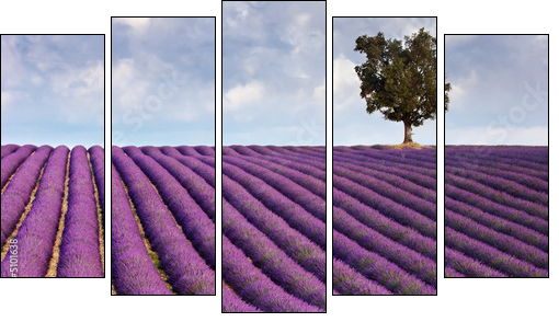 Lavender field and a lone tree - Five-piece canvas print, Pentaptych