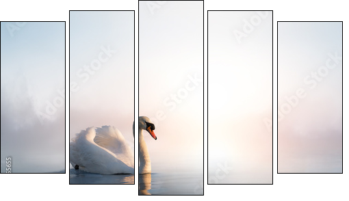 Art Swan floating on the water at sunrise of the day - Five-piece canvas print, Pentaptych