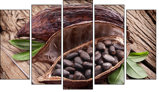 Cocoa pod - Five-piece canvas print, Pentaptych