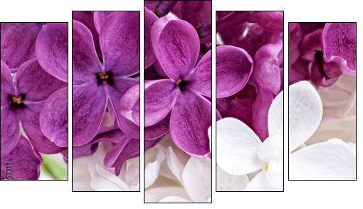 Beautiful Bunch of violet and white Lilac - Five-piece canvas print, Pentaptych