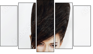 Updo Hair. Woman with Trendy Hairstyle with Diamond Earrings - Five-piece canvas print, Pentaptych