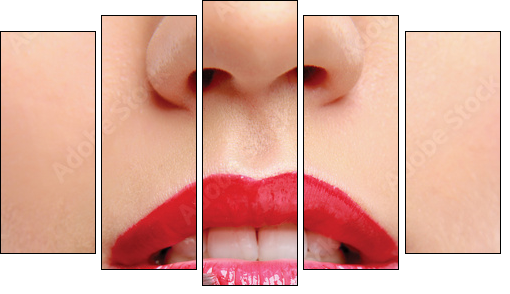 Woman's lips holding make up brush - Five-piece canvas print, Pentaptych