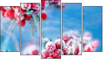 Frozen rowan berries - Five-piece canvas print, Pentaptych