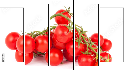 cherry tomatoes - Five-piece canvas print, Pentaptych