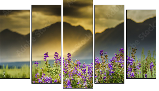 Purple Lupines in the Tetons - Five-piece canvas print, Pentaptych