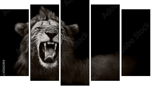 Lion displaying dangerous teeth - Five-piece canvas print, Pentaptych