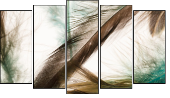Color feathers - Five-piece canvas print, Pentaptych