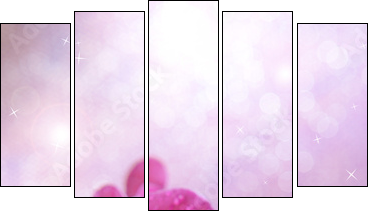 Beautiful blooming orchid  on light color background - Five-piece canvas print, Pentaptych