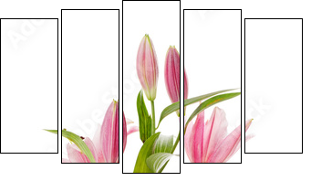 Pink lily - Five-piece canvas print, Pentaptych
